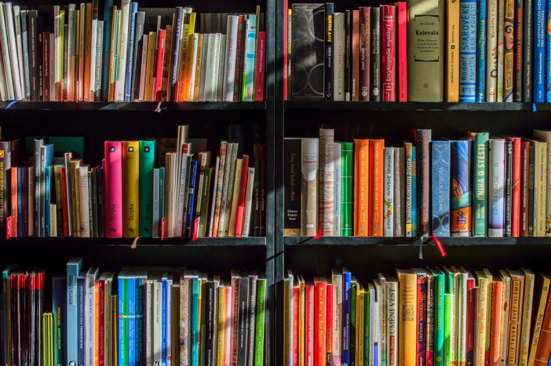 ecommerce-AIGUINES-min_books_bookstore_book_reading_shop_writer_sale_books_read-822866